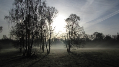 Early on a winter's morning